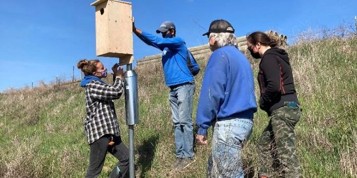 Interns installing a new birding box at Jan T. Lowrey Nature Preserve