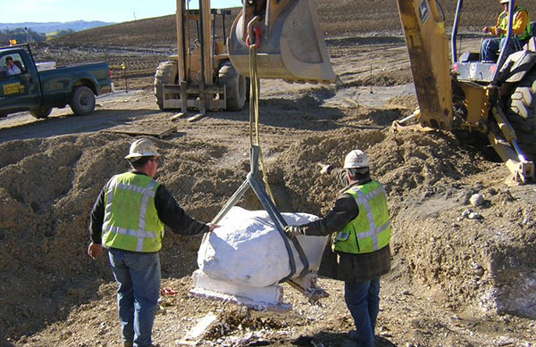 Mammoth skull fossil being lifted from the ground at Cache Creek Nature Preserve