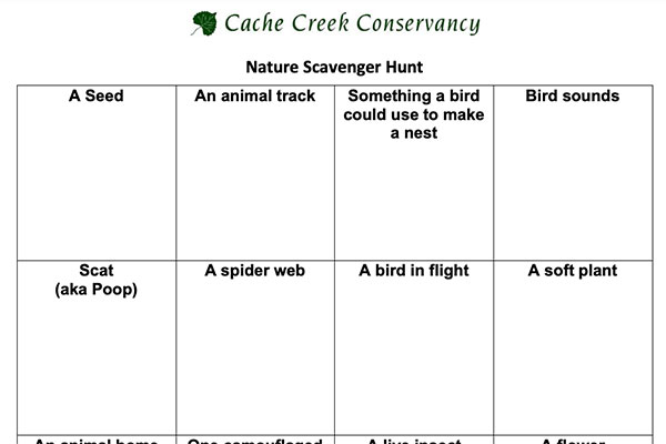 Nature Scavenger Hunt worksheet