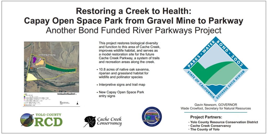 Restoring a Creek to Health: From Gravel Mine to Parkway