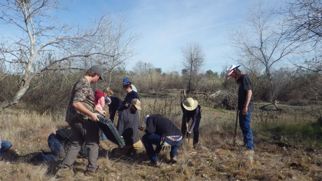 Students planting at a SLEWS habitat restoration day