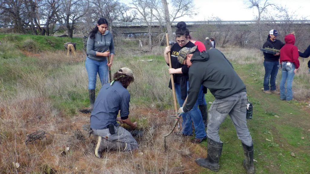 Students restoring Capay Open Space Park during SLEWS Planting Day