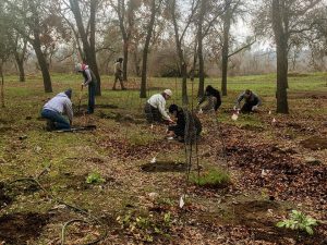 College students planting trees at the Cache Creek Nature Preserve