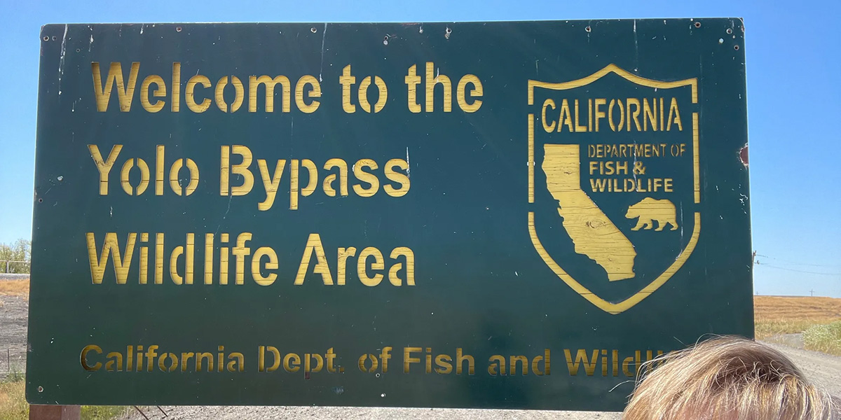 Yolo Bypass Wildlife Area Entrance Sign