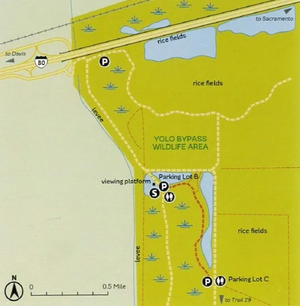 Yolo Bypass Trail Map