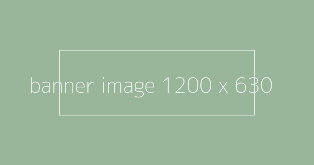 placeholder image showing dimensions and focus area rectangle