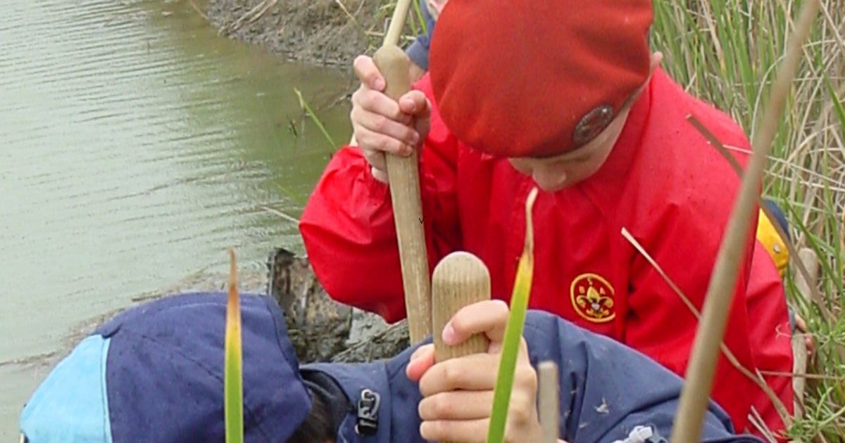 projects-for-youth-groups-cache-creek-conservancy