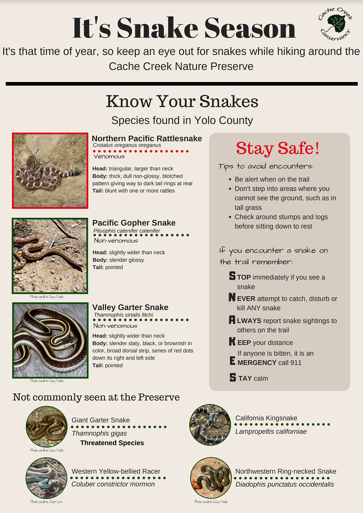 Know Your Snakes poster describing species found in Yolo County