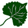 Leaf logo, Cache Creek Conservancy