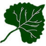 Leaf logo, Cache Creek Conservancy