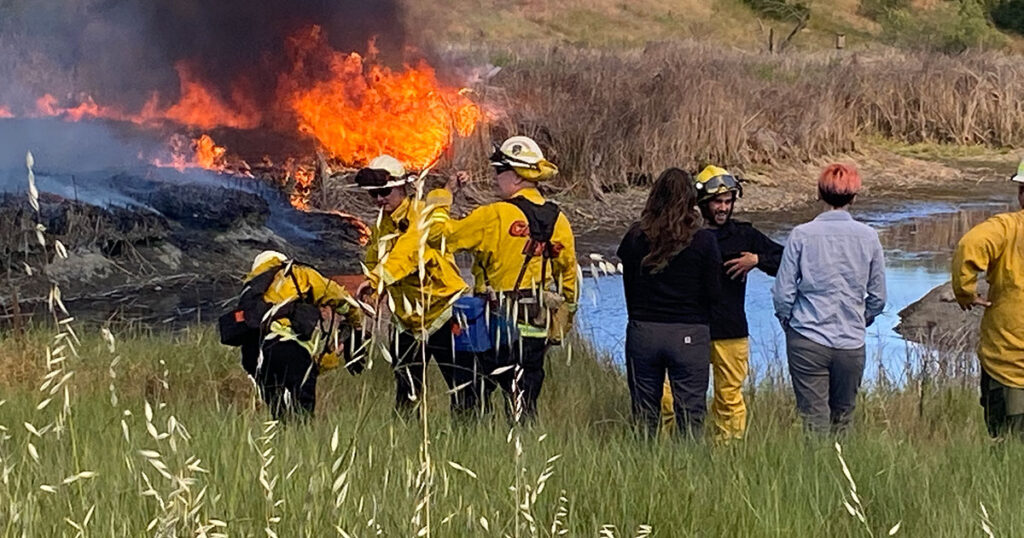 Fire crew and observers near low-intensity fire