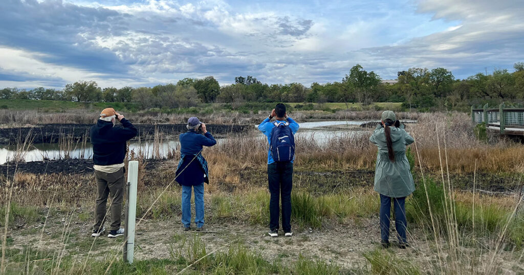 Four people looking out across the nature preserve through binoculars