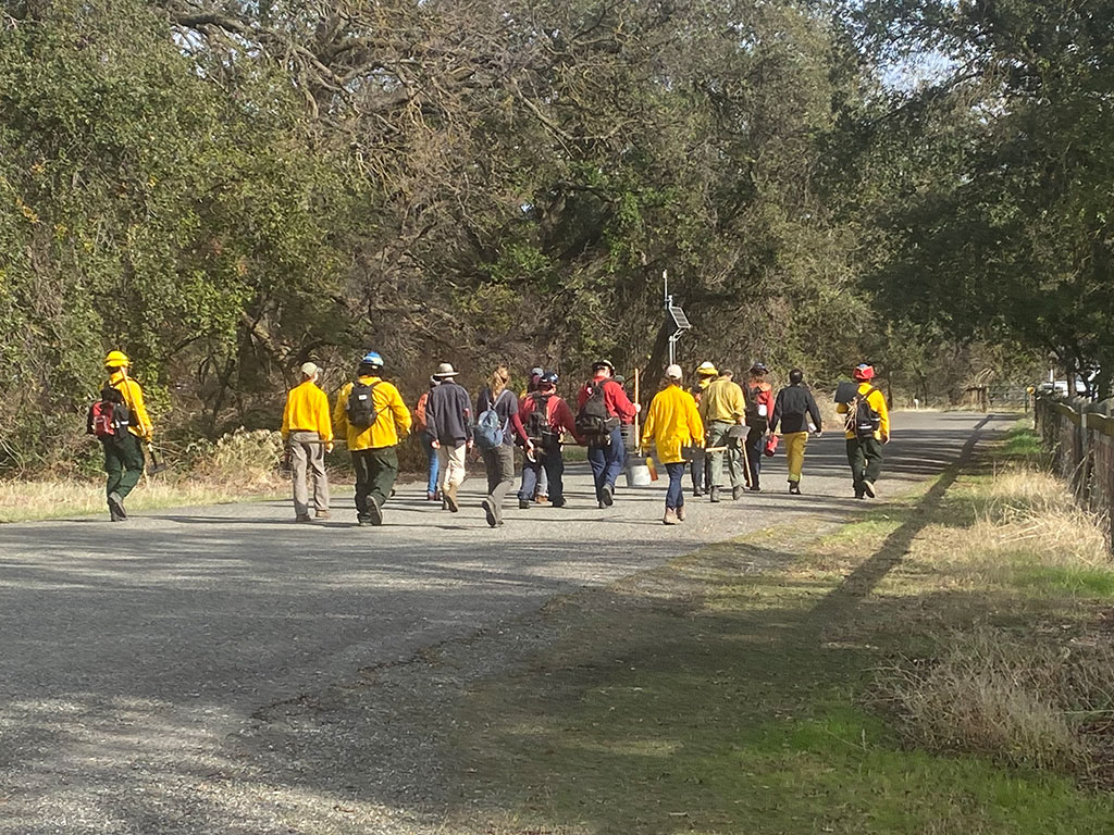 A group of people walking away down a road at Cache Creek Nature Preserve