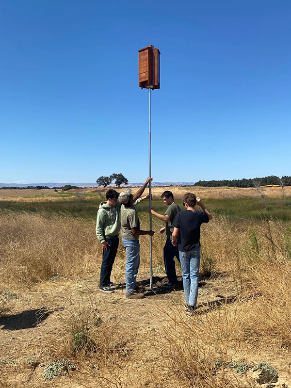 Four young people planting a bat box pole at the Cache Creek Nature Preserve