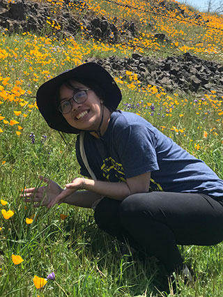 Young Asian woman in hat stooping close to California Poppy blooms in field.