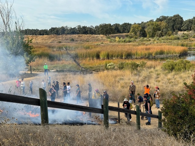 People monitoring the 'family burn' at the Tending & Gathering Garden