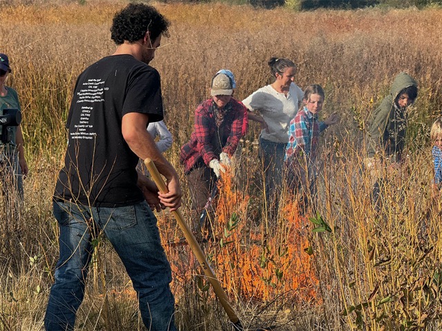 People tending the Cultural Burn in a grass field at Leok Po 2023
