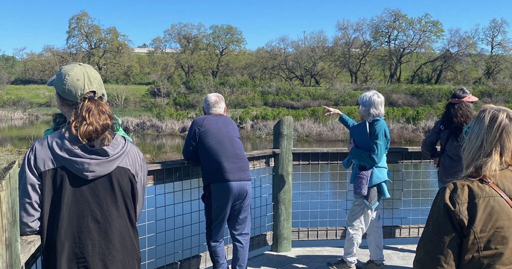 A group of people on the boardwalk overlooking the Nature Preserve wetlands