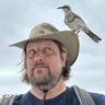 Bruce Christensen, a bearded man looking up at his safari hat where an Espanola Mockingbird is perched.