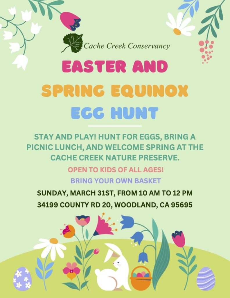 Easter and Spring Equinox Egg Hunt flyer