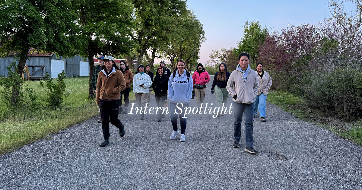 Intern Spotlight: Aimee Fuller