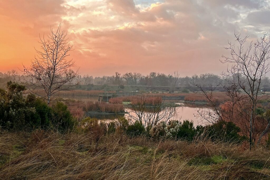 Overlooking wetlands ponds against an orange sky