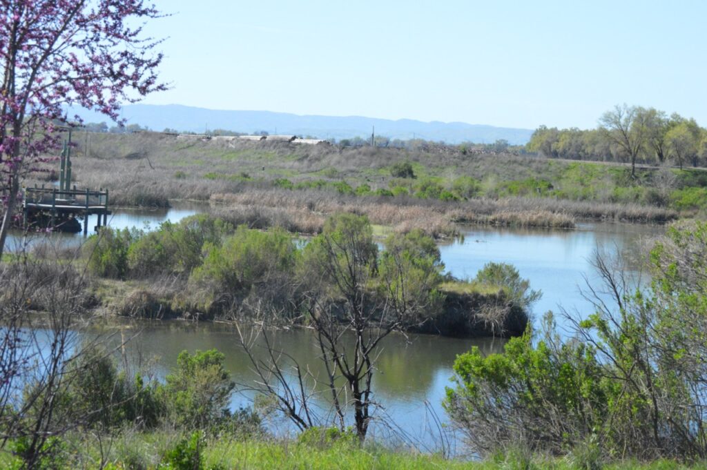 Landscape overlooking a wetlands pond against low mountains and blue sky