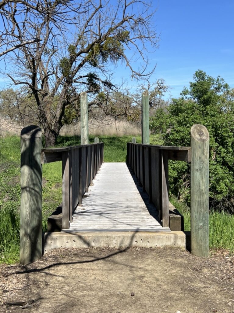 View along a metal and wood bridge from dirt path in the foreground to green meadow with shrubs and trees