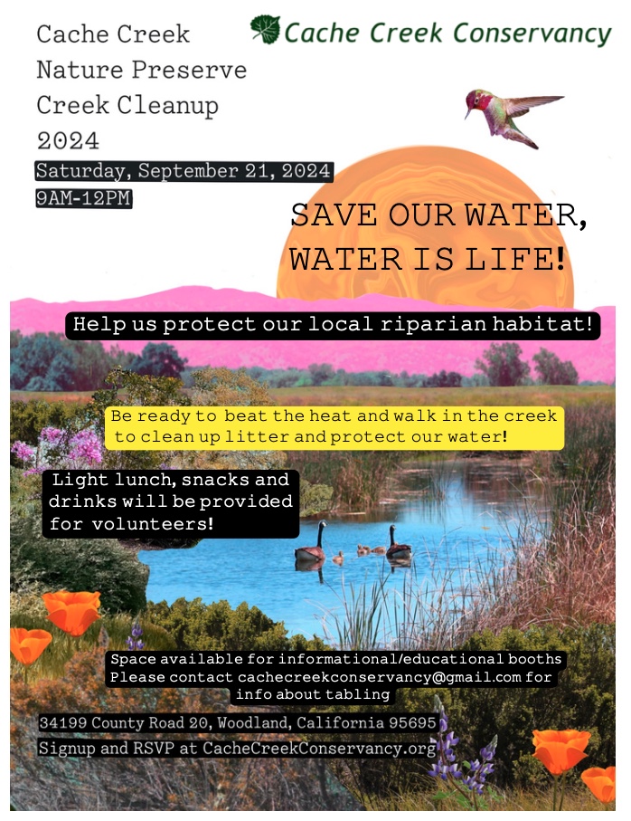 Poster for 2024 Cache Creek Cleanup event