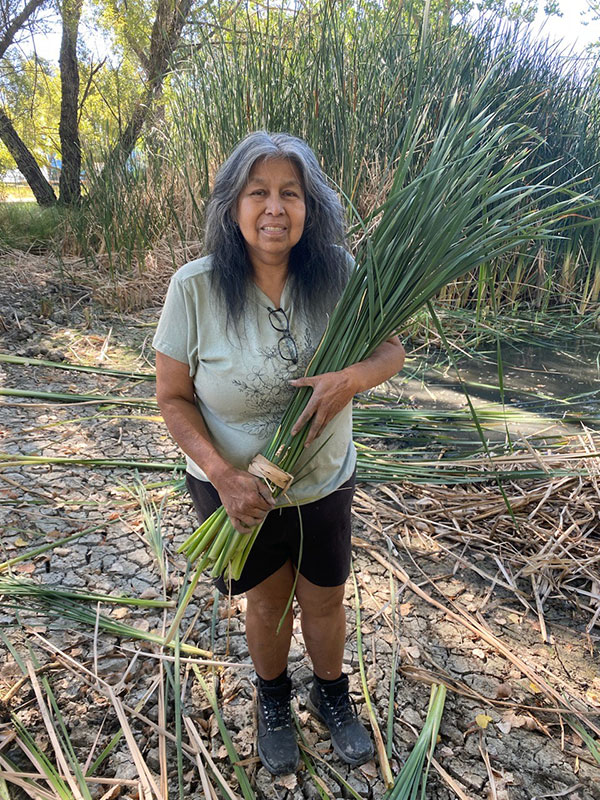 Diana Almendariz holding a bundle of freshly harvested tule