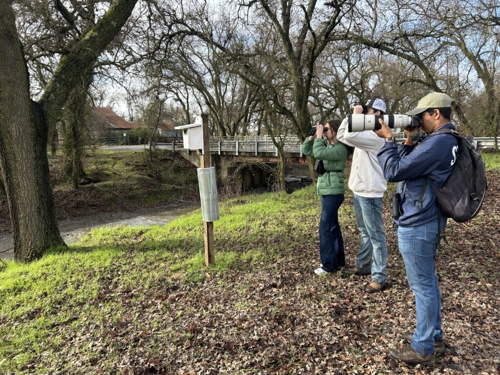 Image of local birders at the Cache Creek Nature Preserve using binoculars and cameras to search for birds