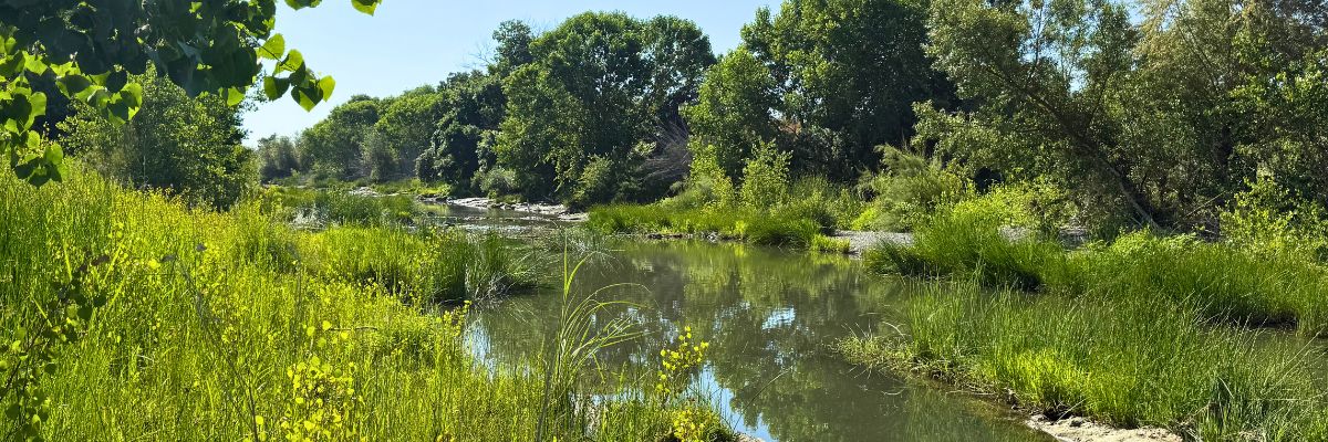 Cache Creek Watershed Stewardship Group | Cache Creek Conservancy