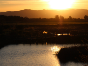 Sunset over the Cache Creek Nature Preserve wetlands